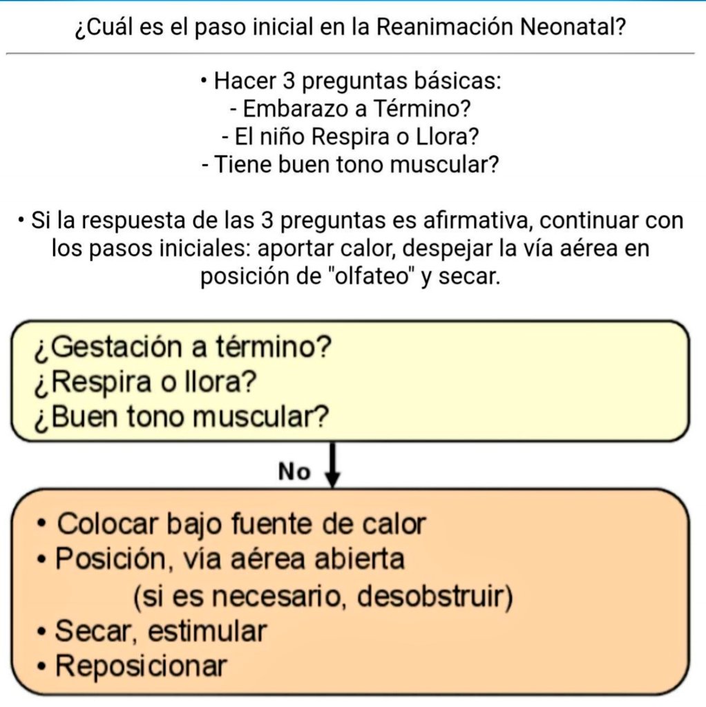 EnarmFlash's tweet image. ⚡️Pasos iniciales reanimación Neonatal.
#ENARM #ENARM2023 #MedTwitter