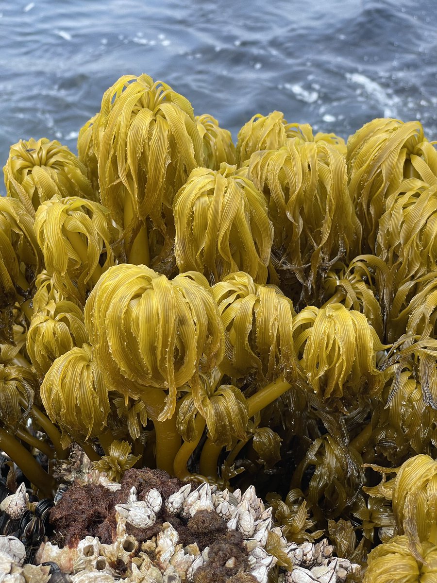 Patrick Martone tweet media