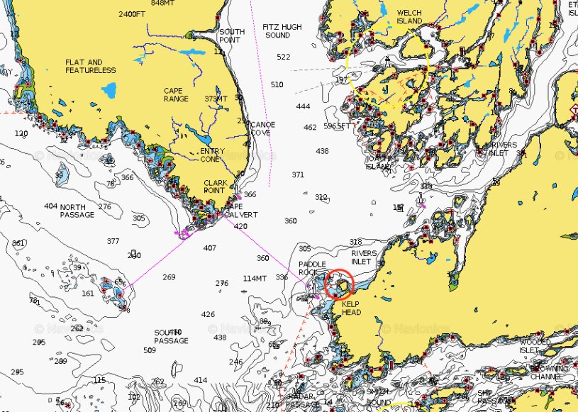 Patrick Martone (@martonelab) on Twitter photo Behold the new northern limit of Sea Palm, #Postelsia! This #kelp was long assumed to peter out at Hope Island, BC… but now found 50km north at Cranston Point, almost (but not) to Calvert Island & <a href="/HakaiInstitute/">Hakai Institute</a>.
Will ocean warming push it farther north? We are watching! 👀 Behold the new northern limit of Sea Palm, #Postelsia! This #kelp was long assumed to peter out at Hope Island, BC… but now found 50km north at Cranston Point, almost (but not) to Calvert Island & <a href="/HakaiInstitute/">Hakai Institute</a>.
Will ocean warming push it farther north? We are watching! đź‘€