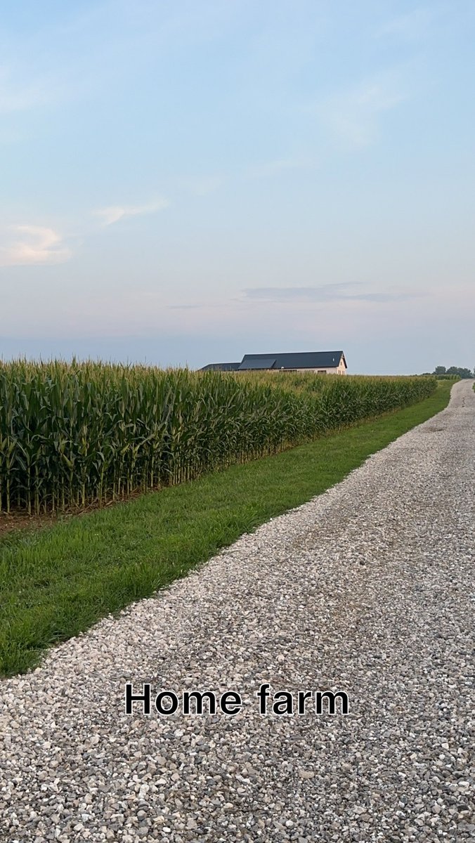 It’ll never get old taking a walk back the lane and scouting my crop. Gorgeous night for it!