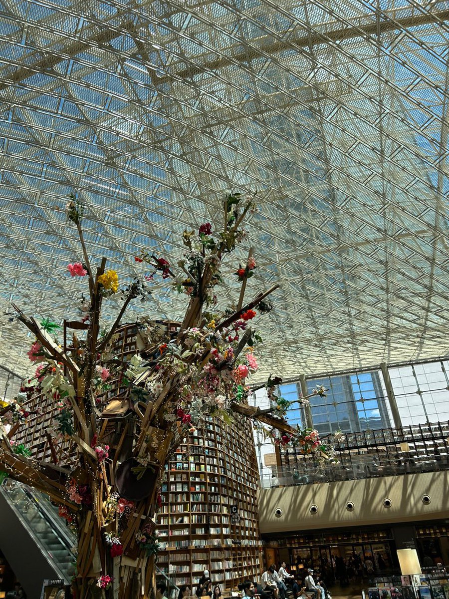 Yesterday was really cute. We went to a lot of beautiful places and had lots of beautiful experiences. One of the places is a mall with a huuuuge library and a really cool tree na gawa sa recycled materials. Look look, amazing nohhhhh :OO

#YGIGAlexei #YGIG