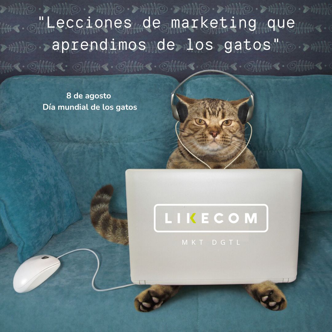 LikecomPeru's tweet photo. 4 actitudes gatunas q podemos aplicar en el día a día de todo marketero:
1 Aunque queramos sacar las garras, siempre debemos vernos tiernos
2 El silencio a veces es buena táctica
3 Pase lo que pase, debemos caer de pie
4Es bueno cuando uno se auto percibe como fiera
 #diadelgato https://t.co/CrhXTOEBhp