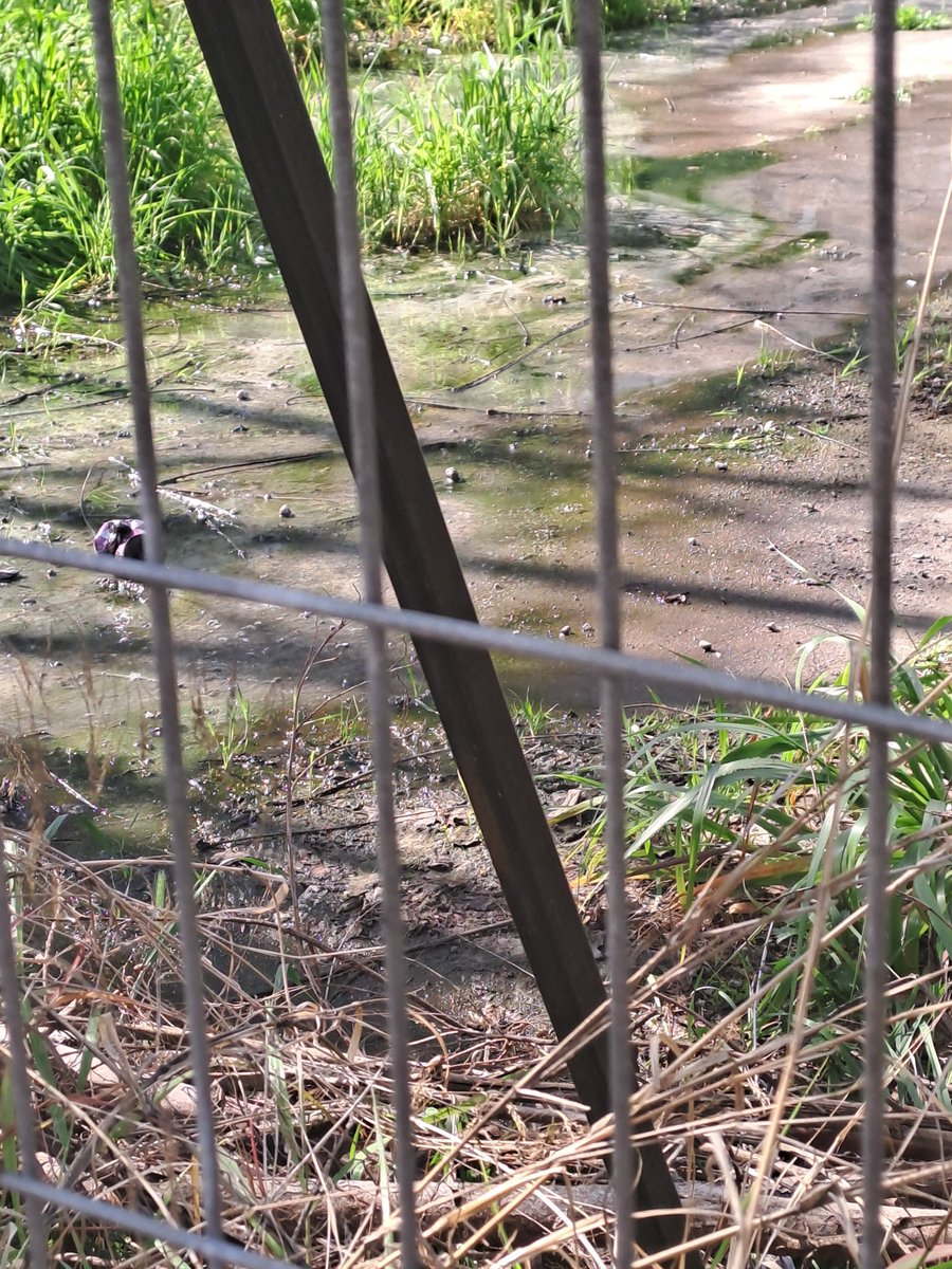 Patricia Aliaga E. tweet media