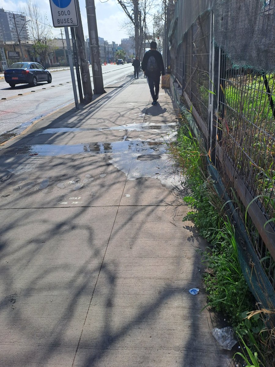 Patricia Aliaga E. tweet media