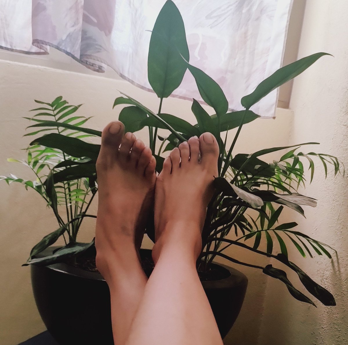 Velbal04's tweet image. Sigueme #Feet
#Cutefeet
app.feetfinder.com/userProfile/Ve…