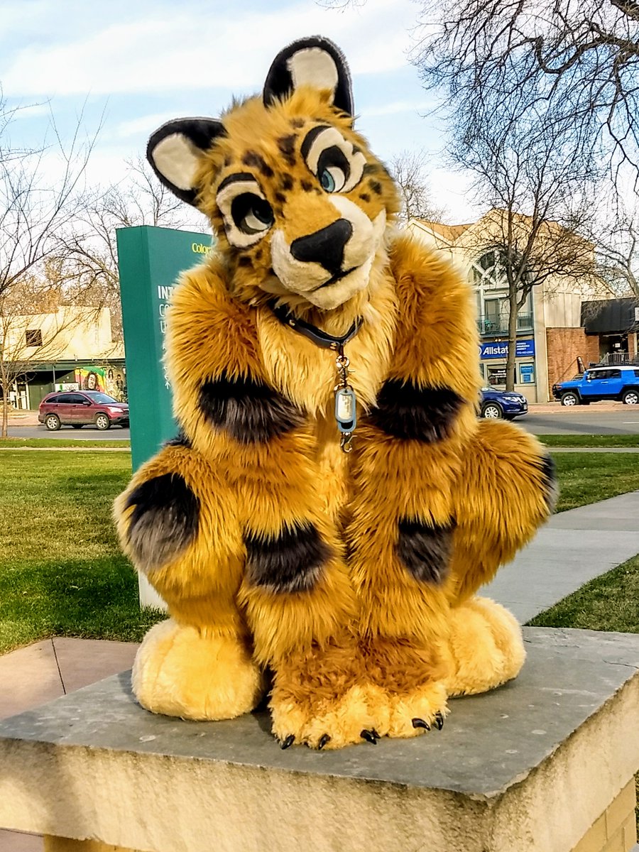 BaseProgression's tweet photo. Look out! There's a terrifying jaguar here for #InternationalCatDay https://t.co/ranowgMztU