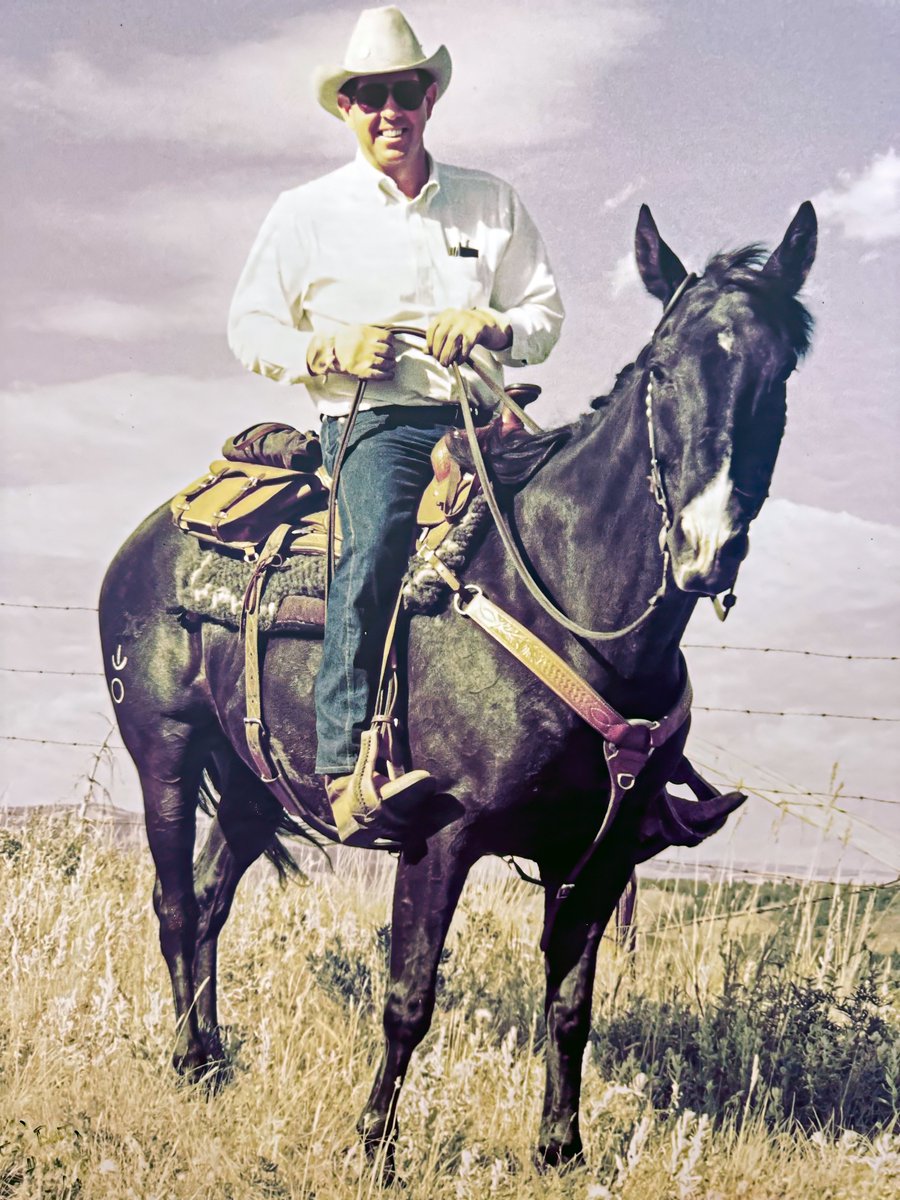 Soderglen Ranches tweet media