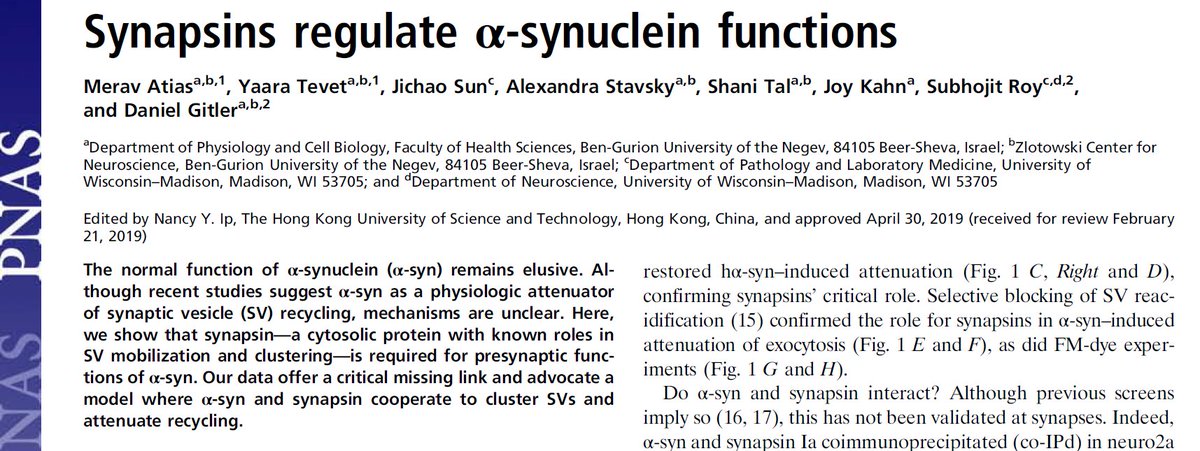 Subhojit Roy (@roy_lab_thinks) on Twitter photo OK then, our paper <a href="/eLife/">eLife - the journal</a>. Conceived by <a href="/DanielGitler/">Daniel Gitler</a> & transcontinental collab. Lead authors <a href="/SashaStavsky/">Alexandra (Sasha) Stavsky</a> & <a href="/leonardoaparrar/">Leonardo Parra-Rivas</a>. Thanks to anon reviewers ("highly relevant" "elegant").
Previously, we showed synapsin binds alpha-synuclein and is necessary for a-syn function.🧵1/10 OK then, our paper <a href="/eLife/">eLife - the journal</a>. Conceived by <a href="/DanielGitler/">Daniel Gitler</a> & transcontinental collab. Lead authors <a href="/SashaStavsky/">Alexandra (Sasha) Stavsky</a> & <a href="/leonardoaparrar/">Leonardo Parra-Rivas</a>. Thanks to anon reviewers ("highly relevant" "elegant").
Previously, we showed synapsin binds alpha-synuclein and is necessary for a-syn function.🧵1/10