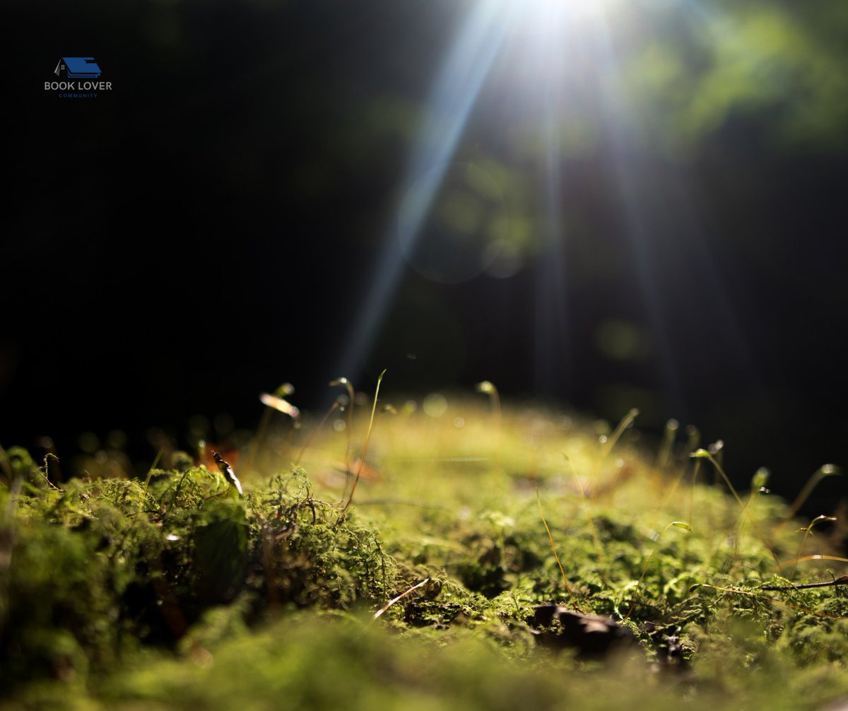 booklovers39's tweet image. In solitude, we discover our deepest strength and soul. It's not about being lost, but finding our path. Feel deeply, strive harder, and turn challenges into opportunities. 💪✨ 

#StrengthInSolitude #NeverAlone #booklovers #readingcommunity #WritingCommunity