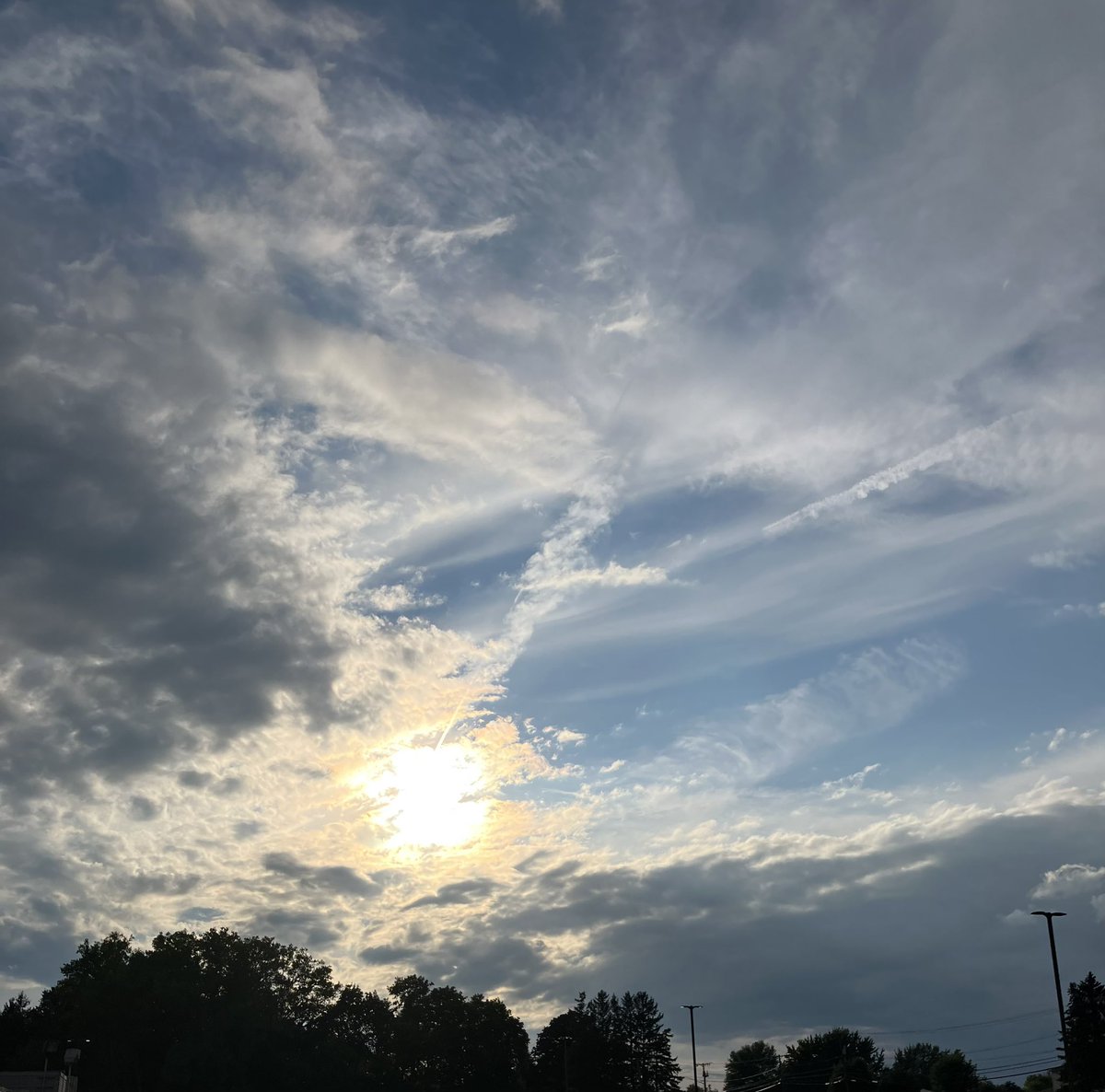 Dave Hibbard tweet media