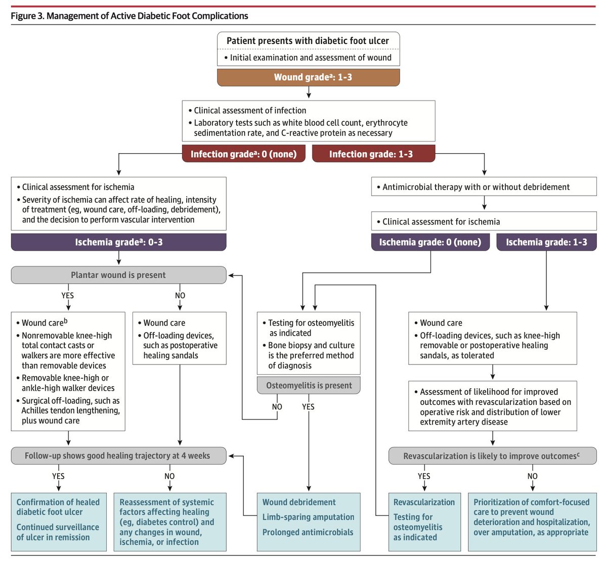 MemodiApp's tweet photo. Úlceras de pie diabético, revisión reciente de JAMA (Julio, 2023). 🔗 Descarga directa: https://t.co/G91pZdmlms https://t.co/Vc5P4mE6LJ