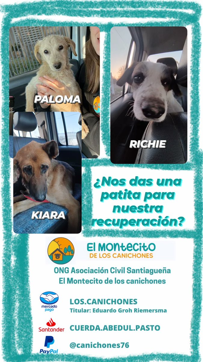 Quien quiera darnos una patita para sus gastos de recuperación, castracion y mantenimiento, siempre es bienvenido para el refu. Son casi 600 perros rescatados del maltrato 💖 gracias!