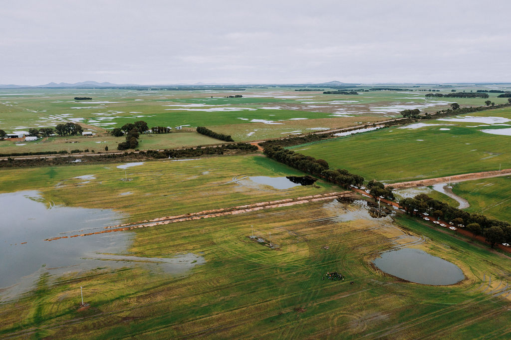 SouthCoastNRM's tweet photo. Incredible photo's by #ByRosieHenderson, another wet year for #highrainfall farmers. @theGRDC funded #SubsurfaceDrainage trial addresses #waterlogging for #cropimprovements 🌾

Contribute to the project through our survey: https://t.co/nLiChZS8KU 
#sharingknowledge #yourPOV https://t.co/2TZJUYZP2L