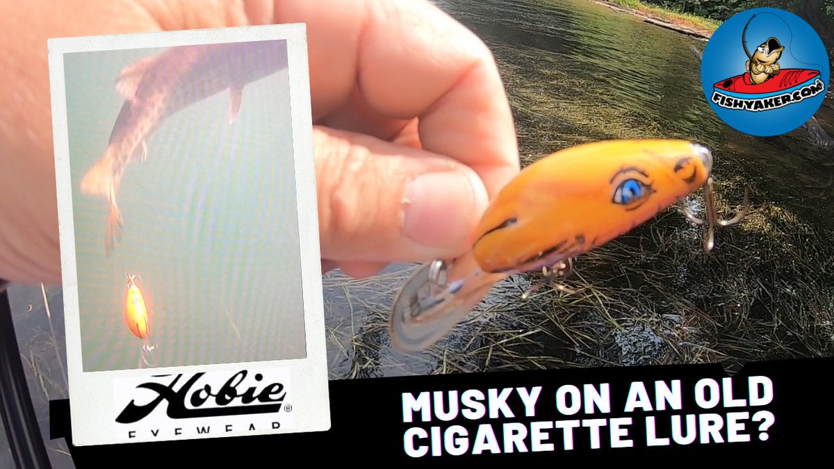 Some cool underwater musky footage in this one!  Click the video link &gt; youtu.be/_HrNCQ0D07s
