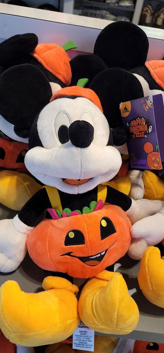 DisneyCastArg's tweet photo. Ya estamos llegando a ESA época de las calabacitas en los parques de Disney. https://t.co/QrcZE4NTQ8