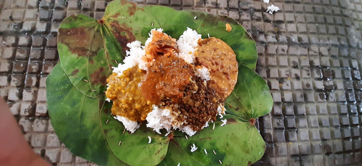 blackswanwins's tweet image. Reading this and reliving my dham food I had with my hands. 
Eating this with spoon is a huge sin and insult to our amazing food! #dham #HimachalPradesh