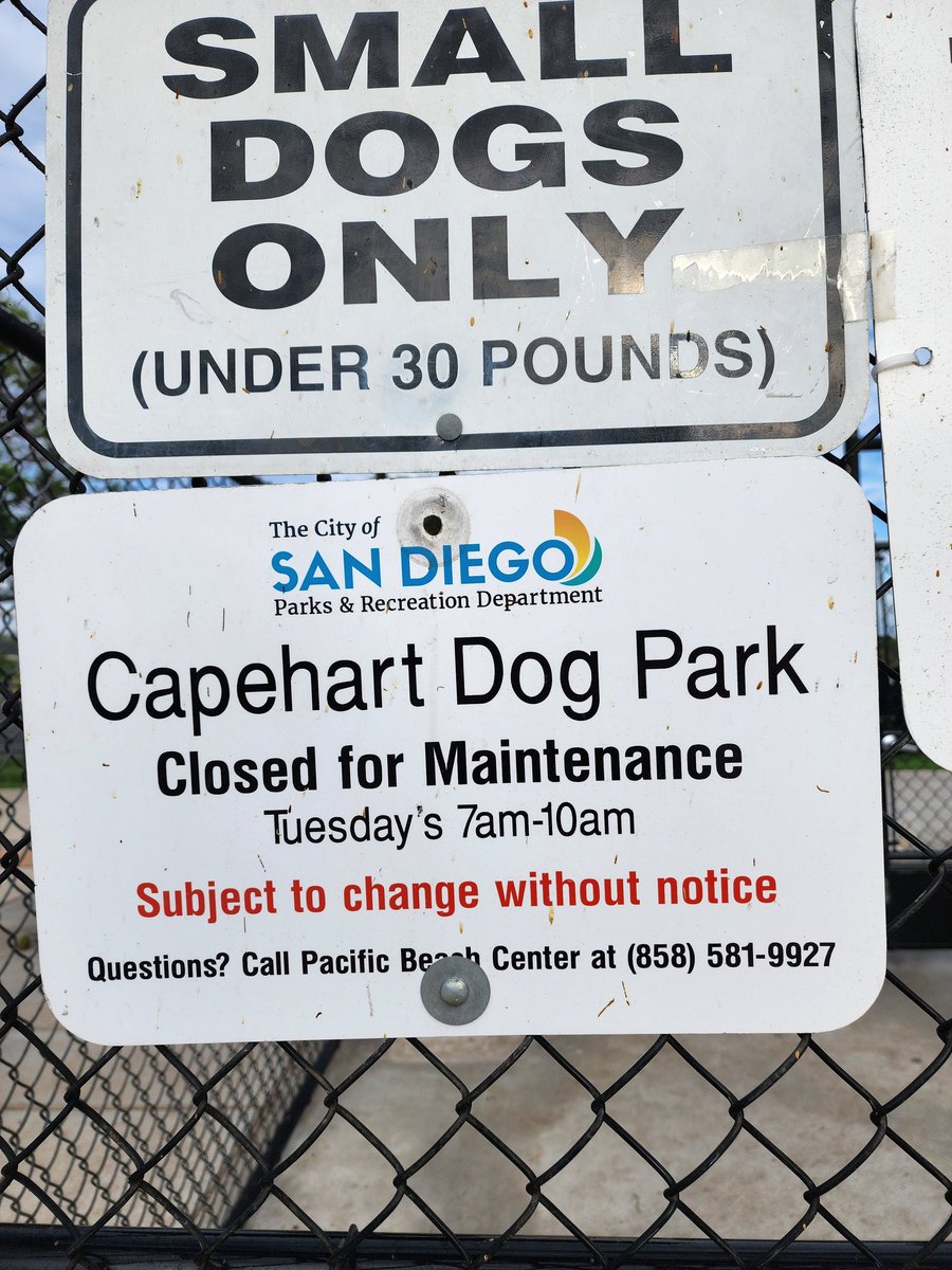 NoleGirlHeather's tweet photo. This is Capeheart small dog park. The grass has not been cut in weeks, what is going on @sandiegoparks ? https://t.co/qQkLVrvP5d