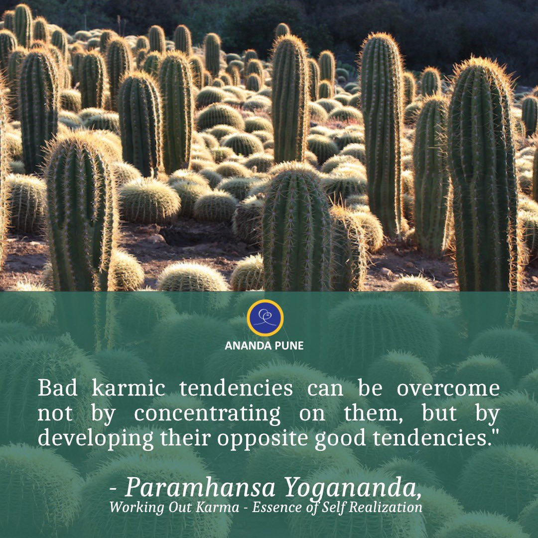 ananda_pune's tweet photo. Join the Ananda  workshop on Aug 27th, 10am-1pm to know more. This workshop will use practical tools and techniques to help us overcome karma and create a destiny that fulfills our True Nature in God. 
*Register now* https://t.co/CdpMJ3YKGu https://t.co/ldLyguur7y