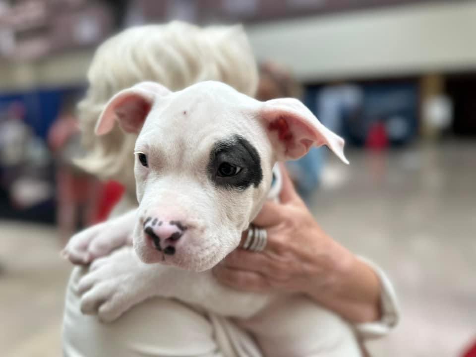 Barbara M. Hunter, APR tweet media