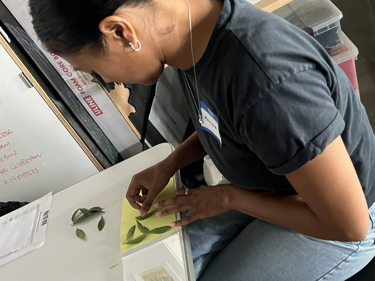 Dianalamaestra's tweet photo. When adults engage in #deeperlearning #pbl they design engaging learning experiences for their students. #learningdesigner #adultlearning @hightechhigh https://t.co/85qVLyjycG