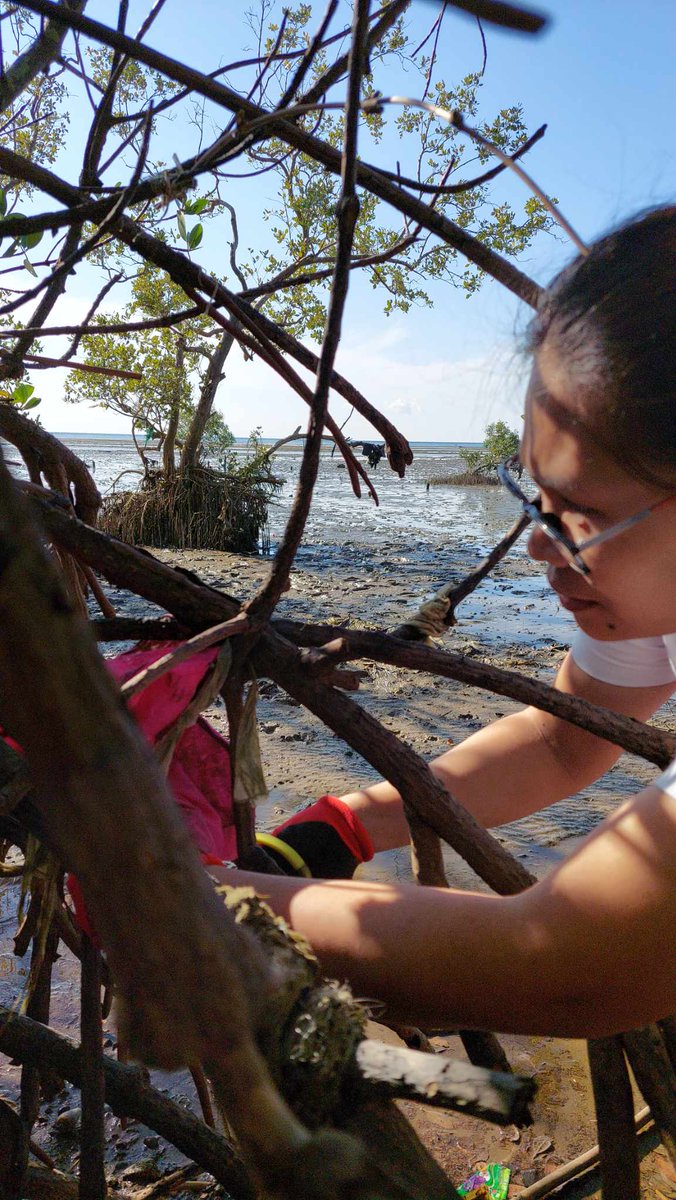 Mangrove clean up
Click our post here:
beachcollective.io/share/1499/
#beachcollective
#beachtoken