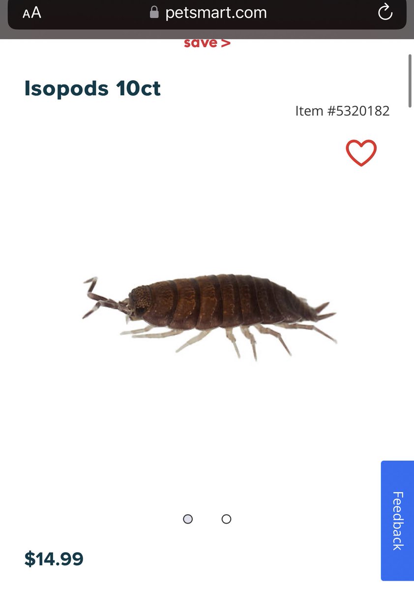 killmefam's tweet image. Just found a really good deal on isopods