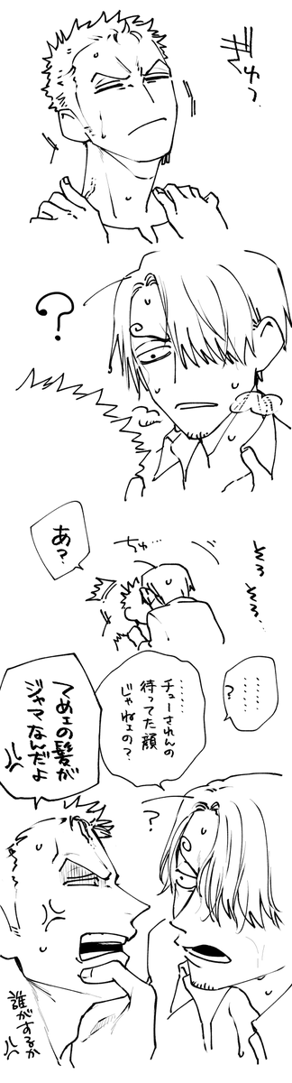 (OP)ゾロサン 若干注意 