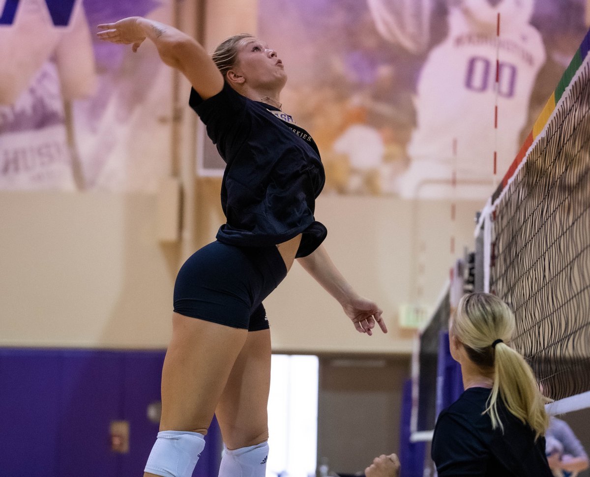 Washington Volleyball tweet media