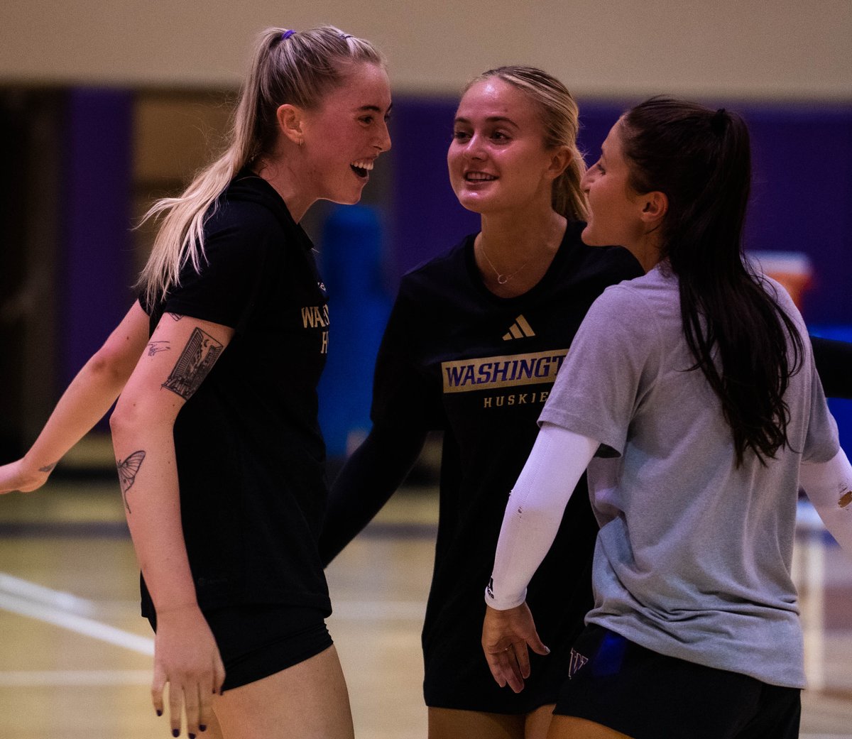 Washington Volleyball tweet media
