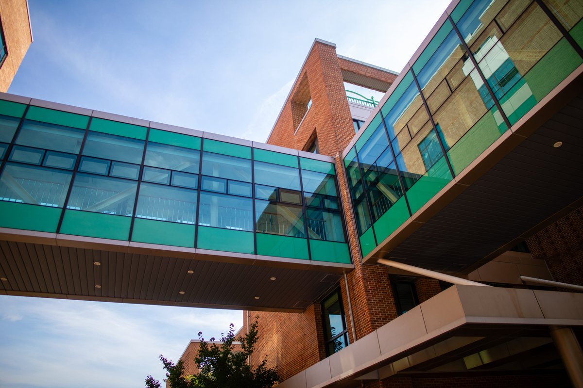 Korea International School tweet media