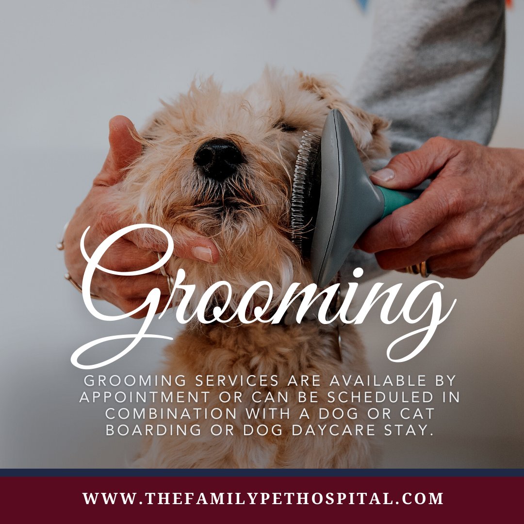 thepetdr's tweet photo. 🐾 Grooming made easy! 🛁 Book an appointment or combine with boarding/daycare! 🐶🐱 
https://t.co/OWFUT6Qwkv 
#TheFamilyPetHospital #AshlandMA https://t.co/Zd1Bac2xOg