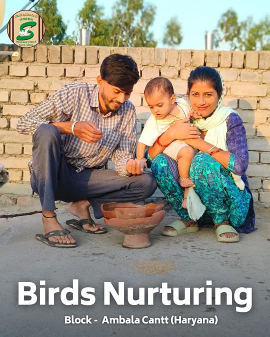 khushkhush338's tweet photo. Birds are beautiful creation of God. Millions of Dera Sacha Sauda followers under the initiative of Birds Nurturing to #FeedBirds with food grains &amp; water on their rooftops and balconies by following the inspiration of Saint MSG. https://t.co/PYW44e2TwZ