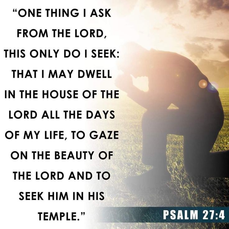 One thing have I desired of the Lord, that will I seek after; that I may dwell in the house of the Lord all the days of my life, to behold the beauty of the Lord, and to enquire in his temple. - Psalm 27:4