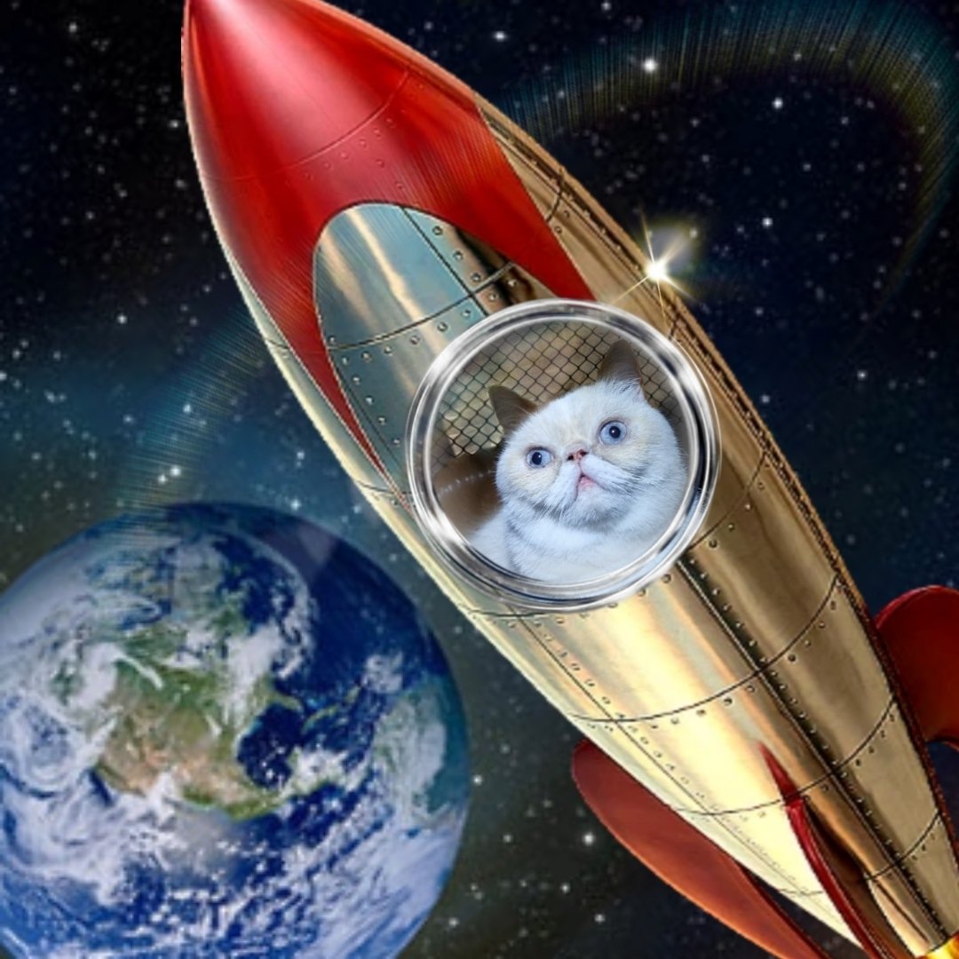 Murple meowface tweet media
