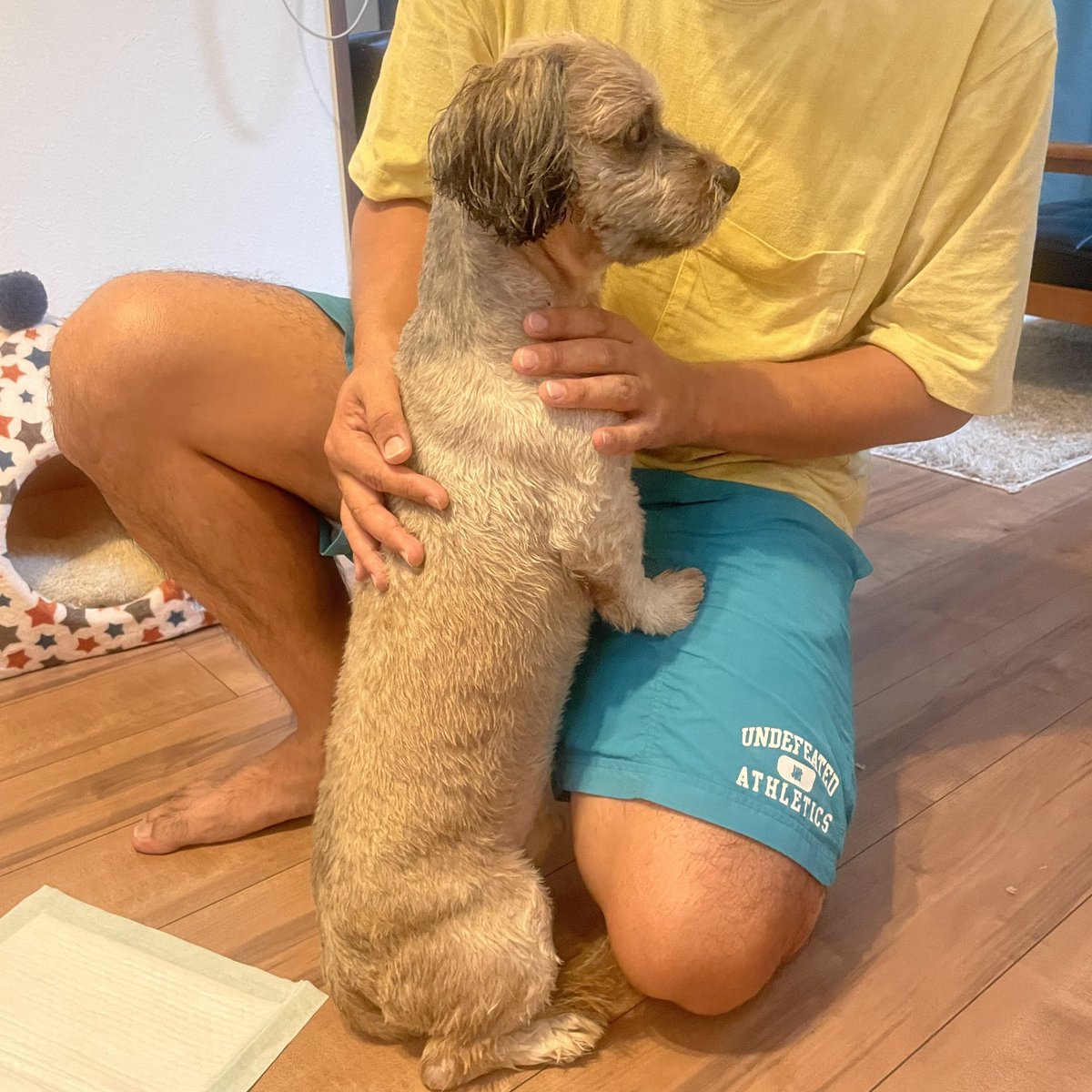 【拡散希望】犬を保護しています。

雷と雨の中、脱走したと思われるわんちゃんを高崎市倉賀野駅付近で保護しました。

飼い主さんに届きますように。
お心当たりのある方は連絡ください。

#迷い犬
#迷子犬
#拡散希望