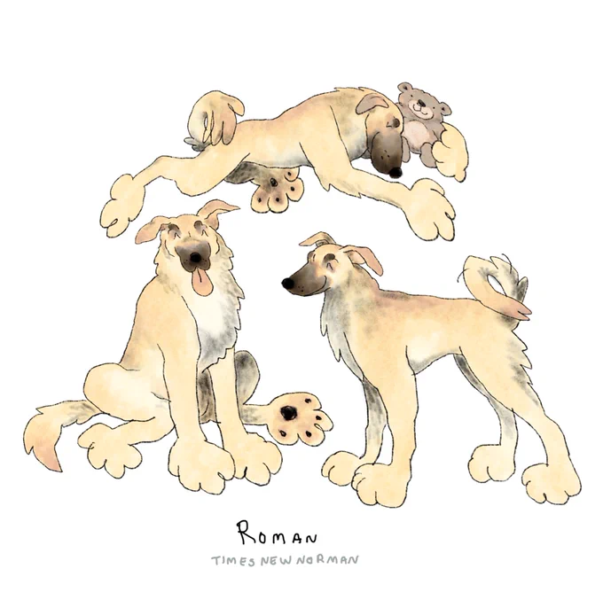 Roman, for a pal