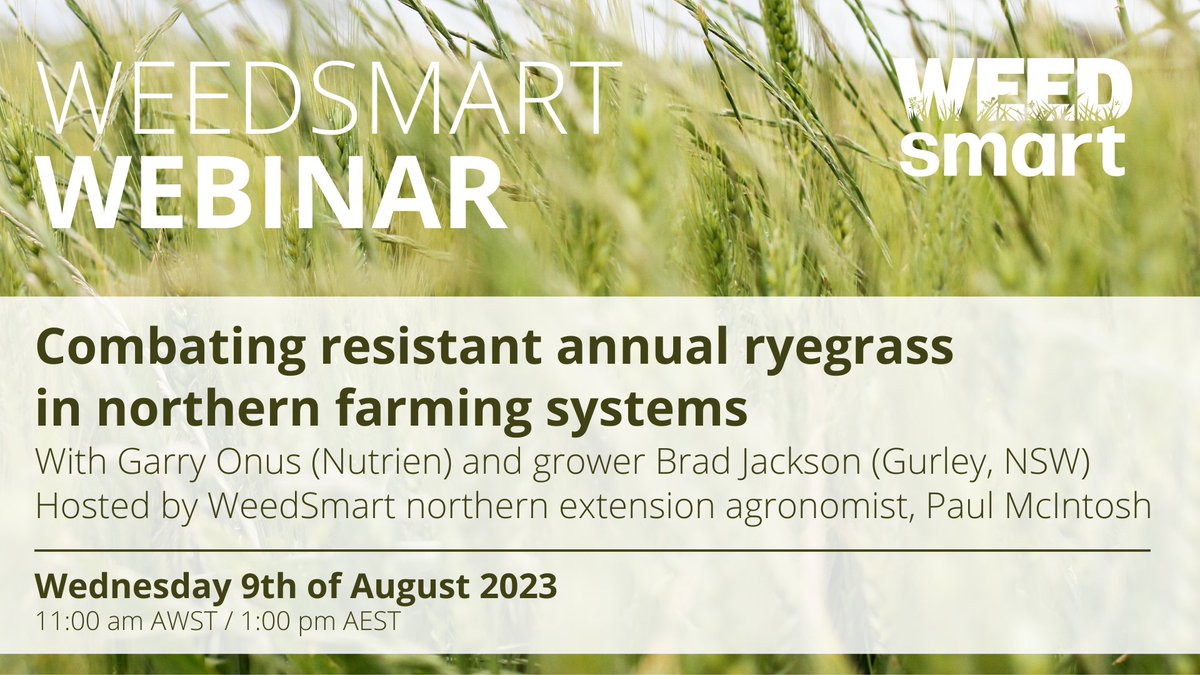 WeedSmartAU's tweet photo. Starting in 1 hour ⏰

Join our webinar to learn how to prevent and manage resistant annual ryegrass in northern cropping systems.

With agronomist Garry Onus (@AuNutrien), northern NSW grower Brad Jackson and @Paul_WeedSmart.

Register ➡️ https://t.co/FfBdcGnAQy https://t.co/t7y0OPC9gW