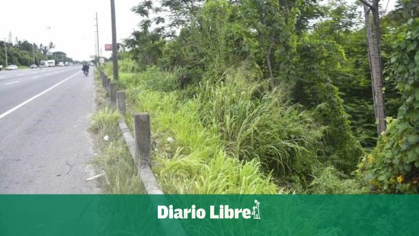 DiarioLibre's tweet photo. ⚖ |#JusticiaDL| Ministerio Público pide un año de prisión contra Bruly por muerte de Willenni Lorenzo
🔗https://t.co/9cWfNlL17T
#DiarioLibre #MinisterioPúblico #WillenniLorenzo #Bruly https://t.co/26E1S17bHY