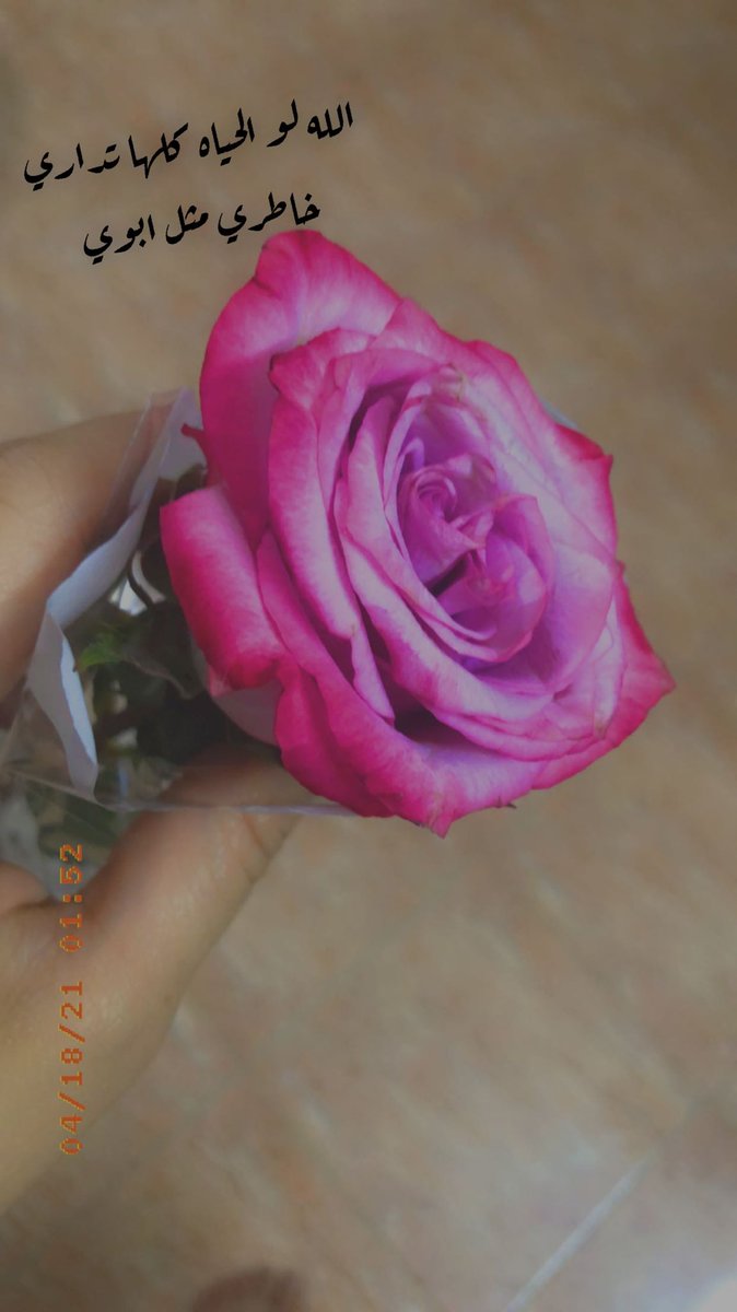 MeaadMead2010's tweet photo. سلام عليك يا من رحلت بدون وداع، اشتقت لك  وبكيت حتى جفت دموعي ولكن انها سنة الحياة وكلنا اليه راجعون 💔
ياحبيبي يابويا مشتاقه للورد من يدك وجبر خاطرك لي https://t.co/zt3oBym5jo