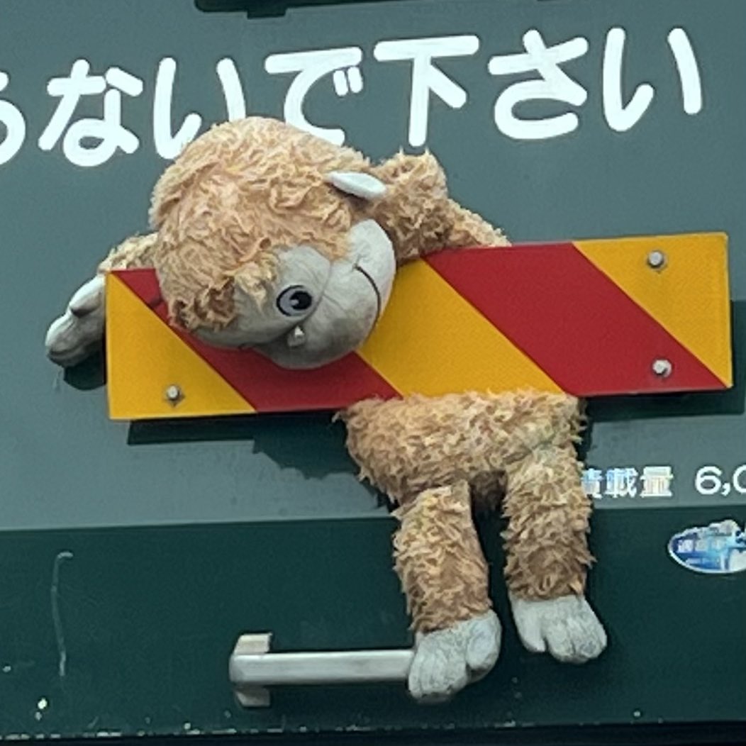 近よる危険性を身をもって教えてくれてるのか､､､😨