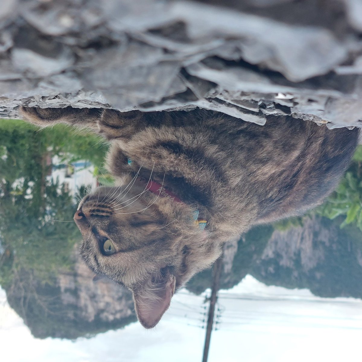 FAIRYLAND_LOVEL's tweet image. #A52s5G
#ファインダー越しの私の世界