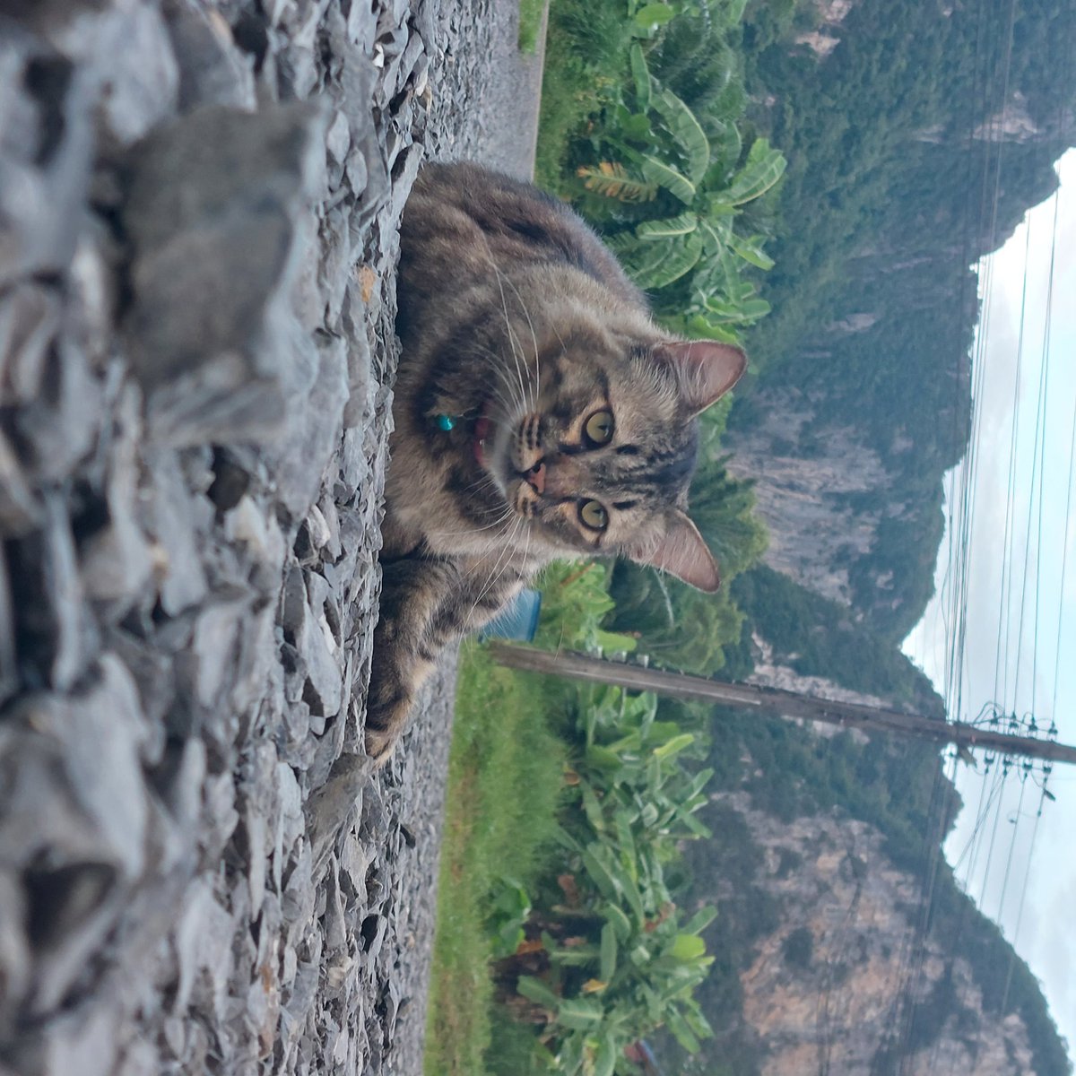 FAIRYLAND_LOVEL's tweet image. #A52s5G
#ファインダー越しの私の世界