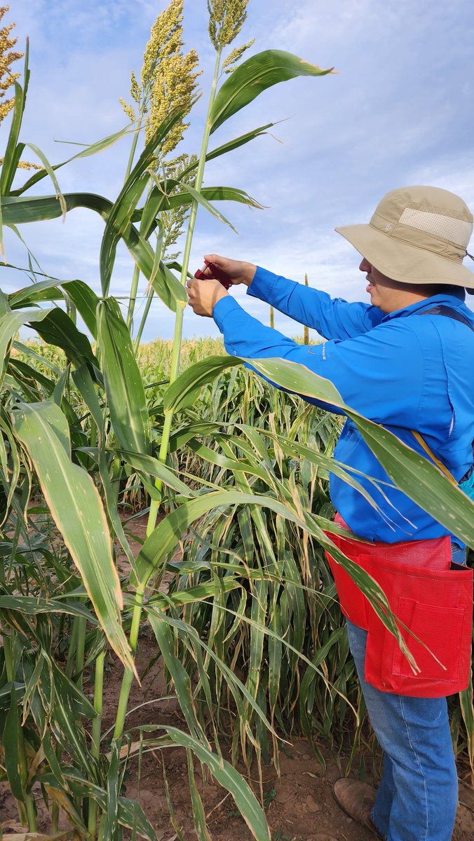 Saini DK tweet media