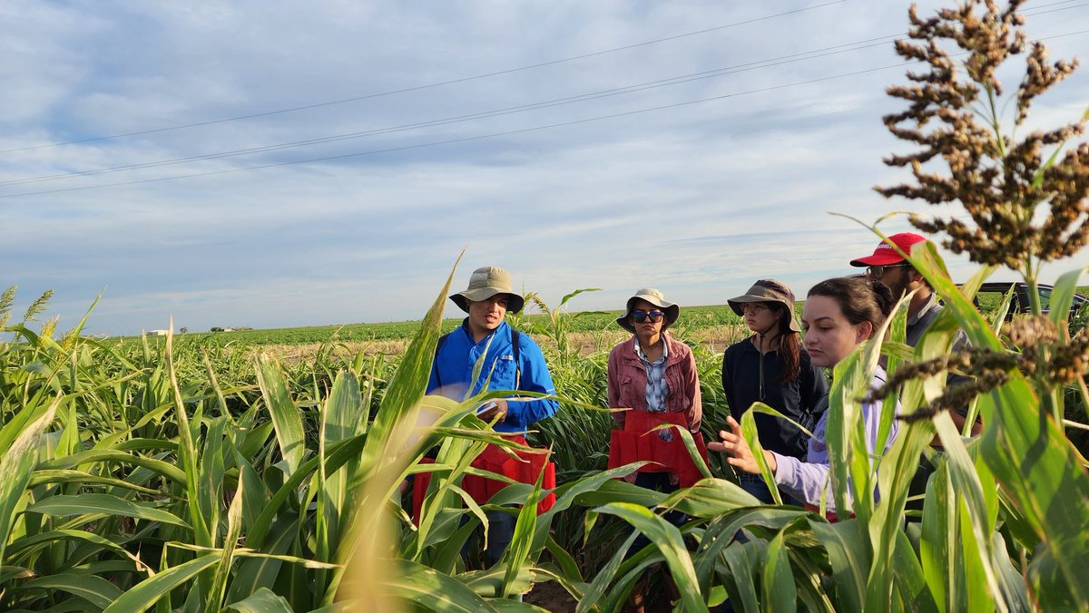 Saini DK tweet media