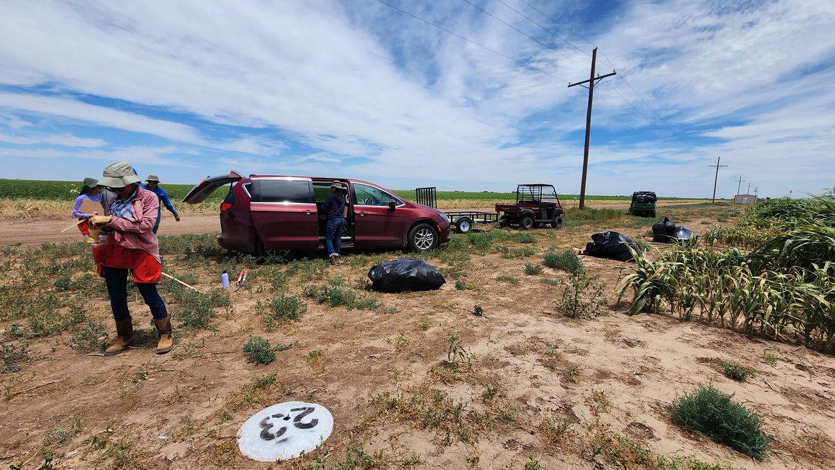 Saini DK tweet media