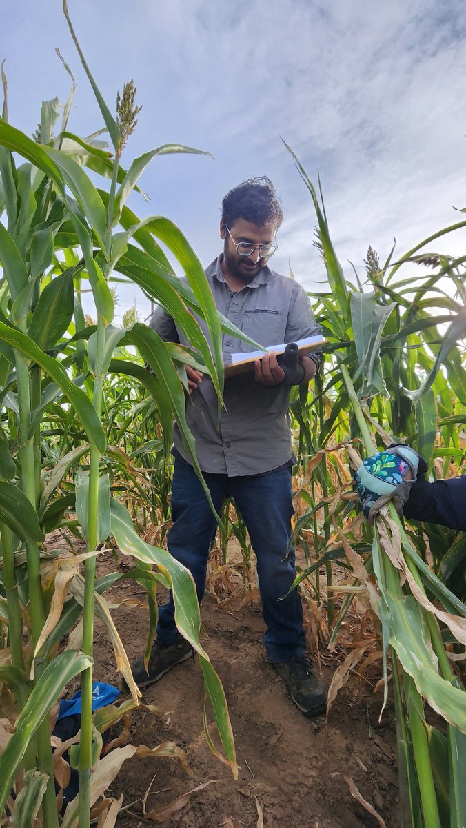 Saini DK tweet media