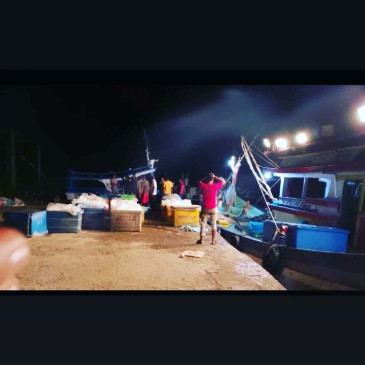 kualapeukanbaro's tweet photo. #SahabatBahari terpantau aktivitas bongkar muat ikan 1 unit kapal penangkap ikan di dermaga PP. Kuala Peukan Baro yang didominasi ikan Cakalang.
@DkpAceh @pp_sdi @alimanselian @KarnandaMirza https://t.co/OYeek5DDcm