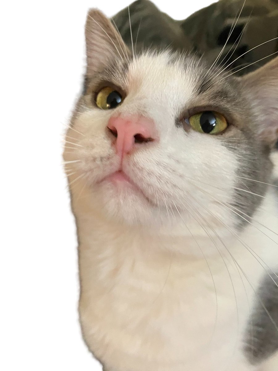 PaaSDev's tweet image. I just published HBase to HBase via Apache NiFi link.medium.com/Iz441Th06Bb #HBase #ApacheNiFi