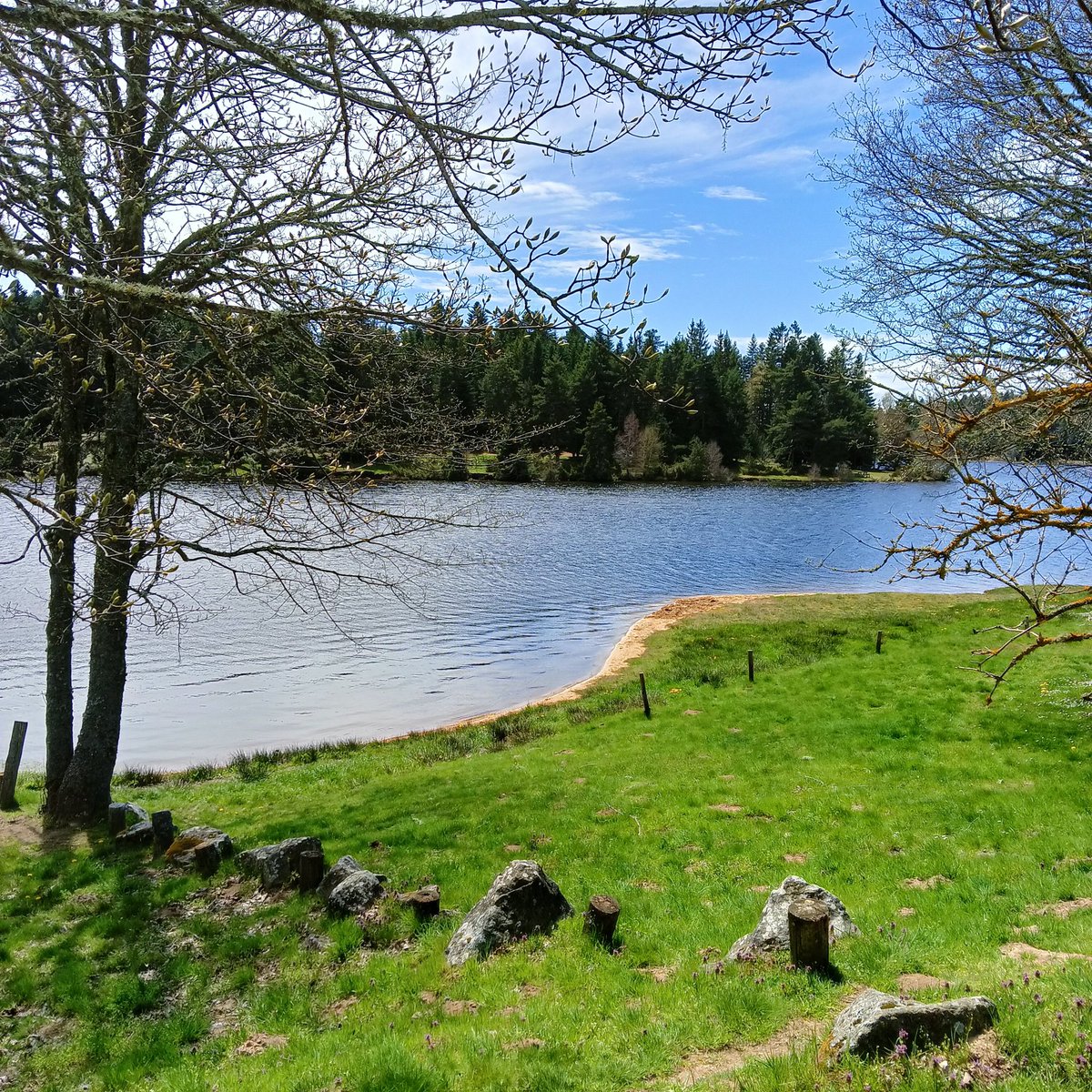 Greg07160 tweet media