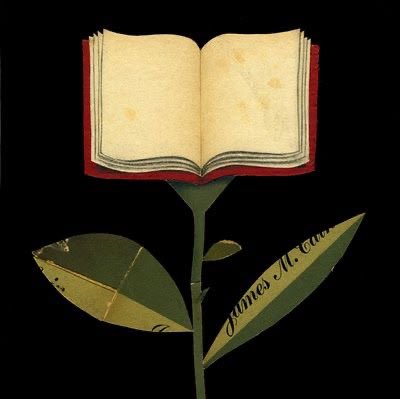 YanD1910's tweet photo. Prefiero este tipo de flor, ¿También creen lo mismo ? https://t.co/jKycVczG0k